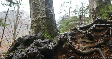 黒いお尻のオンリーファンズ セクシーxxx 写真