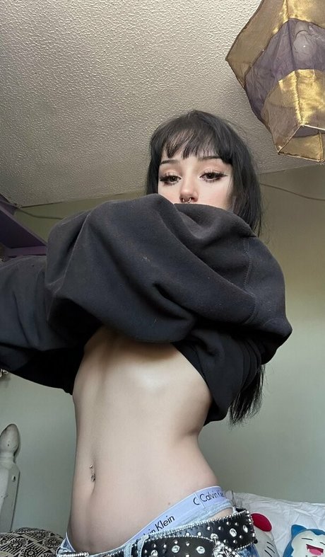 ティーントランスオンリーファン パーフェクト アーカイブ