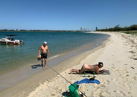 whiterabbitsx HDスター ギャラリー