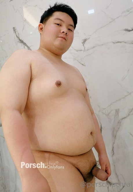 porsch pchral HDモデル ギャラリー