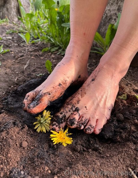 ai and0 トップスター 写真