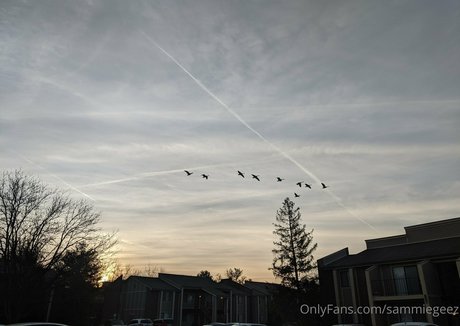 dream candy ポルノスター トップ ギャラリー