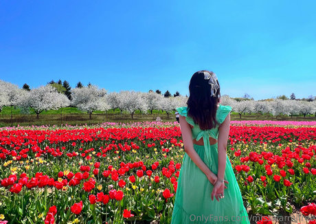 misswarmjfree 美しいモデル アーカイブ