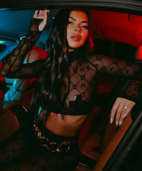 Apostoleanu 完璧な女優 画像