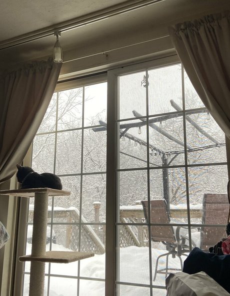 大学生のオンリーファンズ 無料エロ 写真