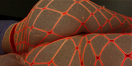 フェラチオ アジア人 OnlyFans えろた 写真