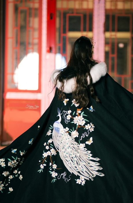 Faira Star 無料のポルノスター 画像