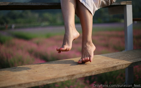 eurasian feet 高品質モデル 画像