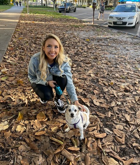 alliewrestling ポルノスター HD 画像