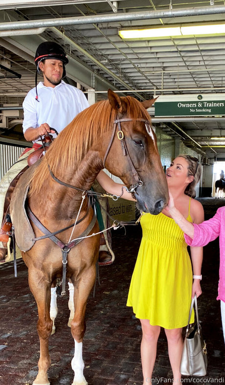 縛られたOnlyFans エロ 写真