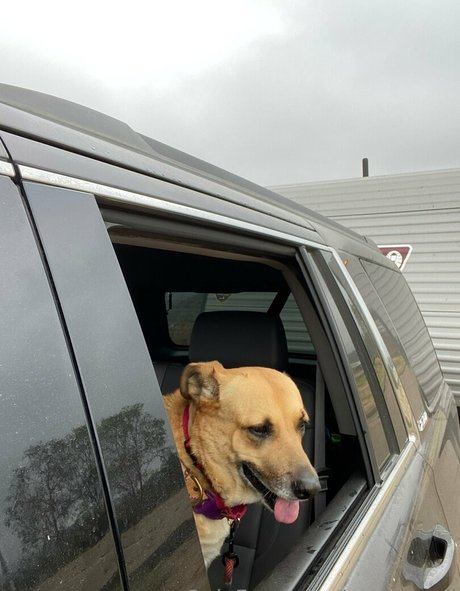 cocovandi かわいいモデル ギャラリー