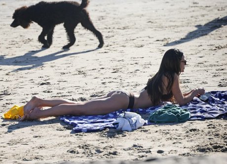 最高のプッシーオンリーファンズ ヌード 画像