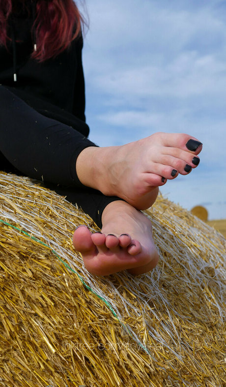 スキニーアナルOnlyFans セクシー ギャラリー