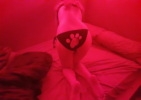 ベラルーシのファンのみ 可愛い 画像