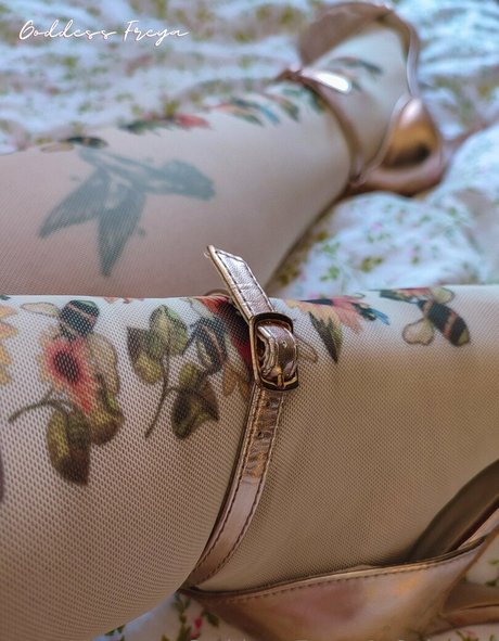 freyas kingdom 独占スター 写真