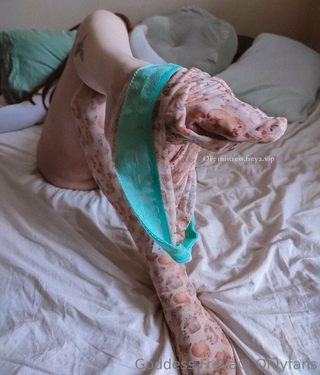 freyas kingdom ポルノ女優 画像