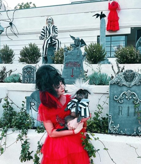 Alessandra Torresani ヌードモデル アーカイブ