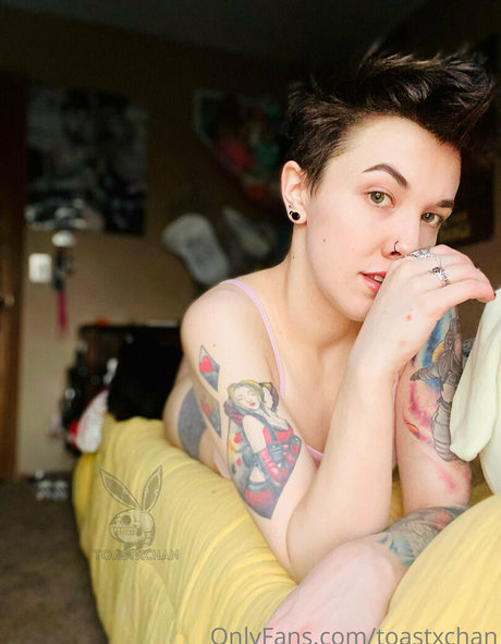 toastxchan 美しいスター 写真