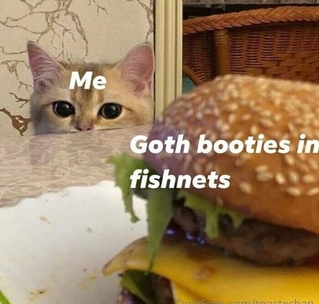 toastxchan 最高のモデル 画像