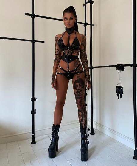 Teganman 高品質のスター 写真