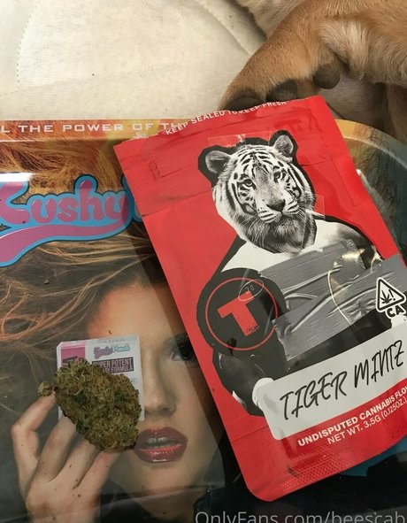 フェイシャルオンリーファンズ 美しいポルノ 写真