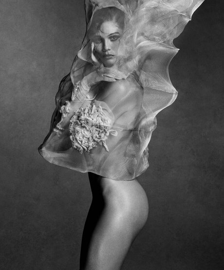 Cambrie Schroder 美しいモデル 写真