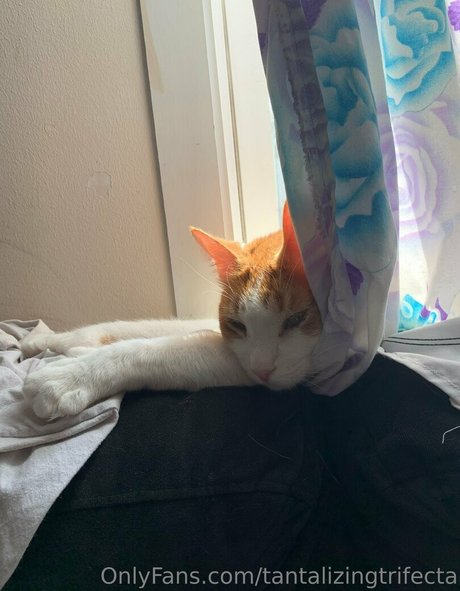 ヘンタイオンリーファンズ 限定 写真