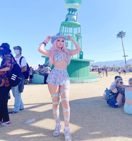 Kutie Kitten Profilbild