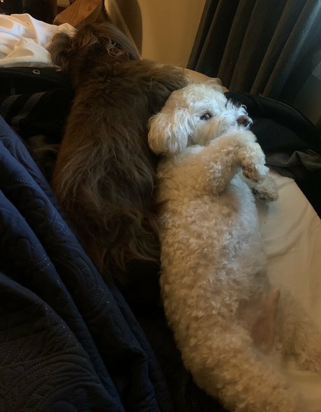 バニー無料OnlyFans 素敵 写真