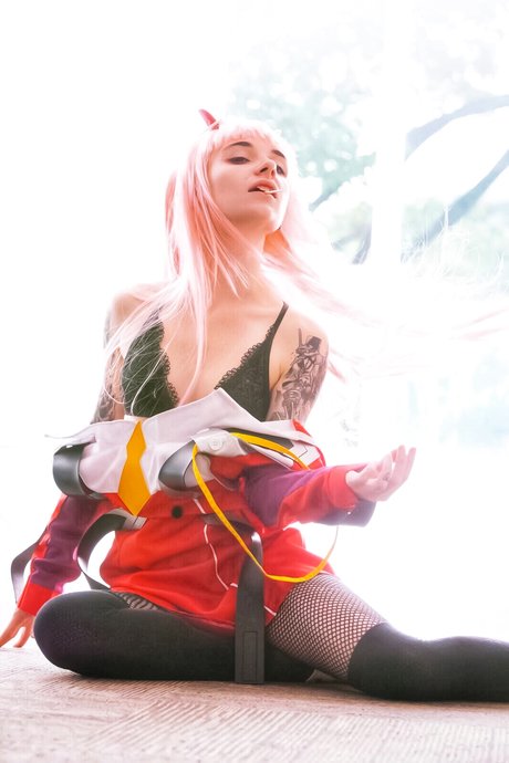 ブッシュ・オンリーファンズ ベスト 写真