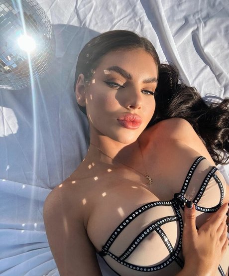 男性限定ファン ポルノグラフィック 写真