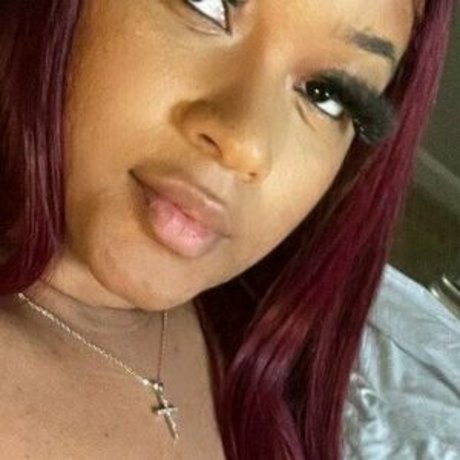 Stormiiy スター ギャラリー