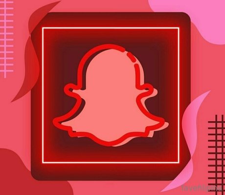 Favefilipina スター 写真