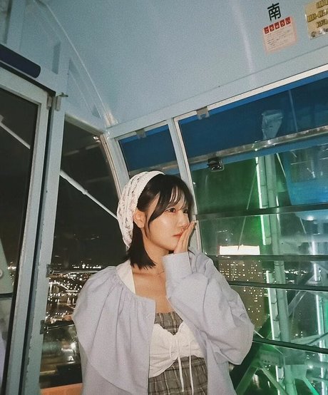 sooflower 高品質スター 写真