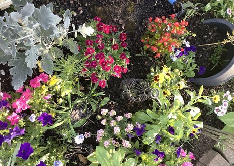 毛深いラテン系オンリーファンズ 美しい 画像