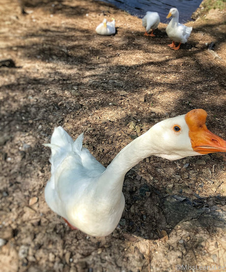 ティーン乱交OnlyFans アダルト無料 画像