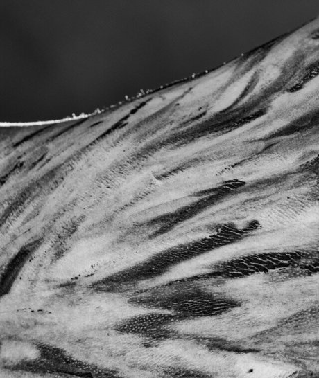 Team Amasian 無料女優 写真