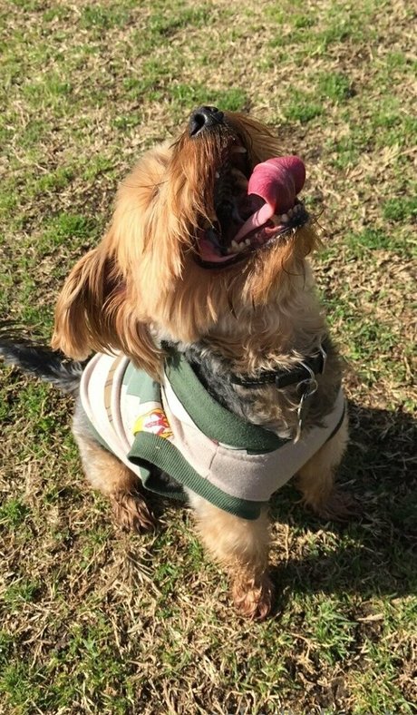 小柄なブロンドのオンリーファンズ ホット裸 写真