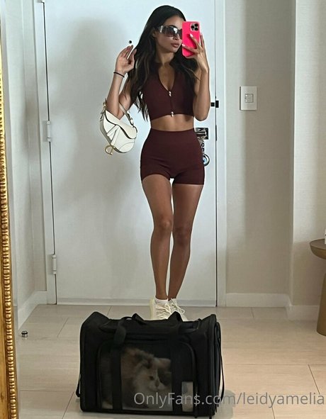 Leidy Amelia ポルノモデル 画像