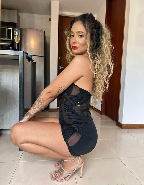 Shakibeach ホットなポルノスター 画像