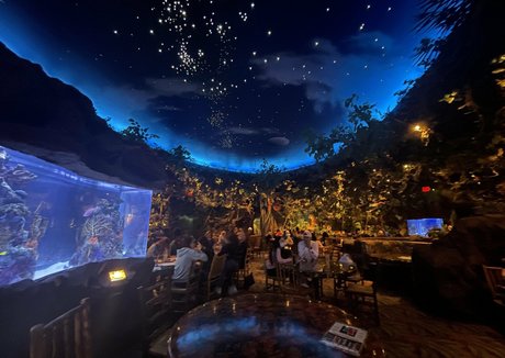 太ったお尻のアナルOnlyFans 無料アダルト 写真