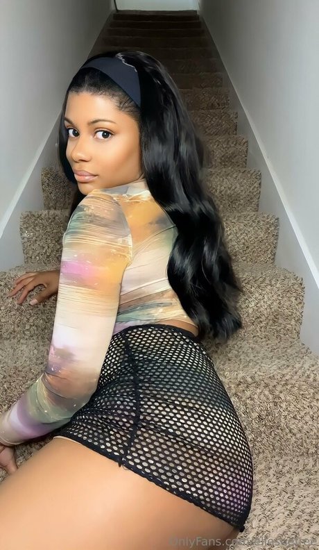 elleseefree 高品質のスター アーカイブ