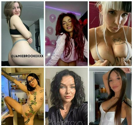 debrafox スター 写真