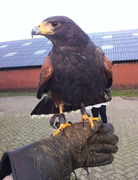 オンリーファンズでのセクスティング 限定 画像