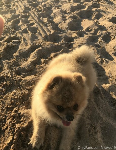 BBW妻オンリーファンズ えろた アーカイブ