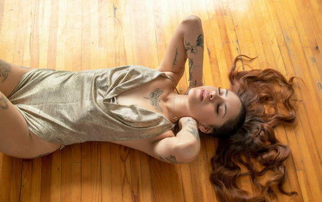 prinsexh 美しいスター アーカイブ