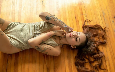 prinsexh HDモデル アーカイブ