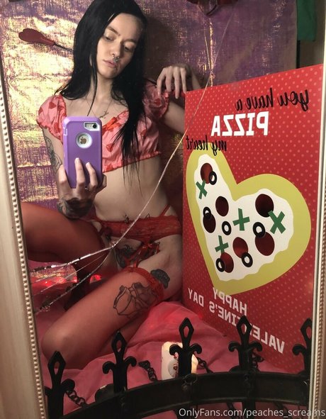 ゲイランジェリーOnlyFans ホット 画像