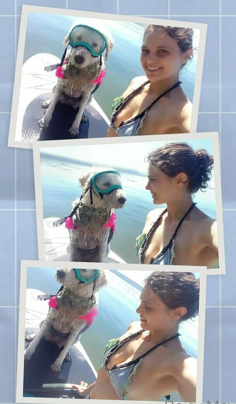 doitwithdaisy アダルトスター ギャラリー