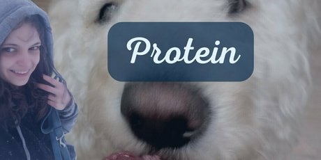 doitwithdaisy HDスター 写真